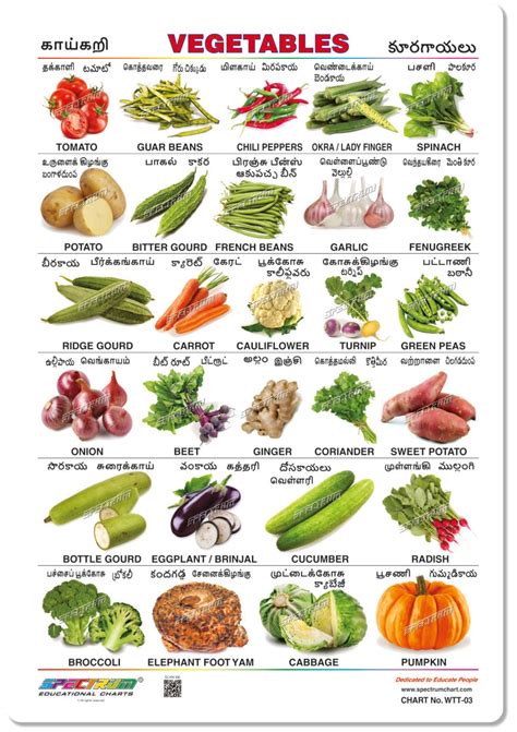 Vegetable Names in English, Hindi, Tamil, Kannada, Telugu,。